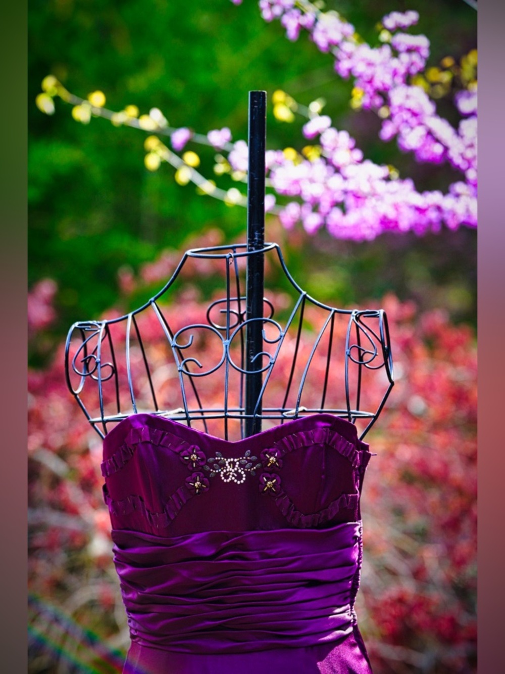 Gorgeous Strapless Dress - Picture 6 of 7